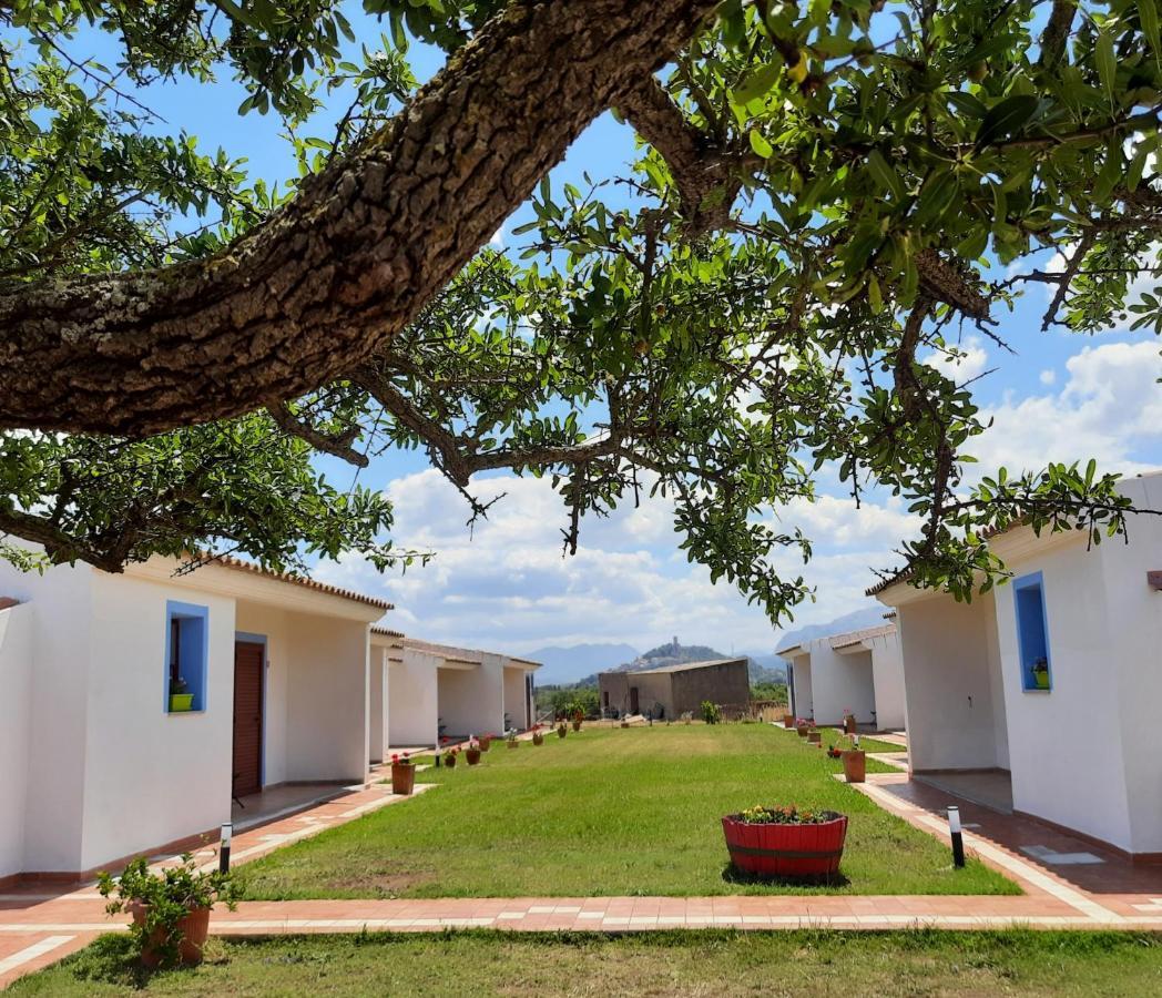 Agriturismo Orvile Позада Екстер'єр фото