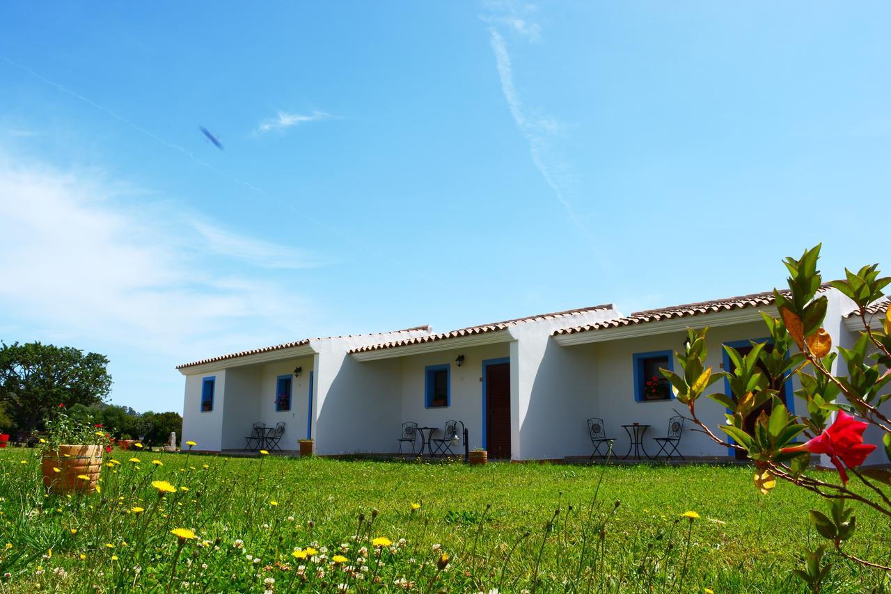 Agriturismo Orvile Позада Екстер'єр фото